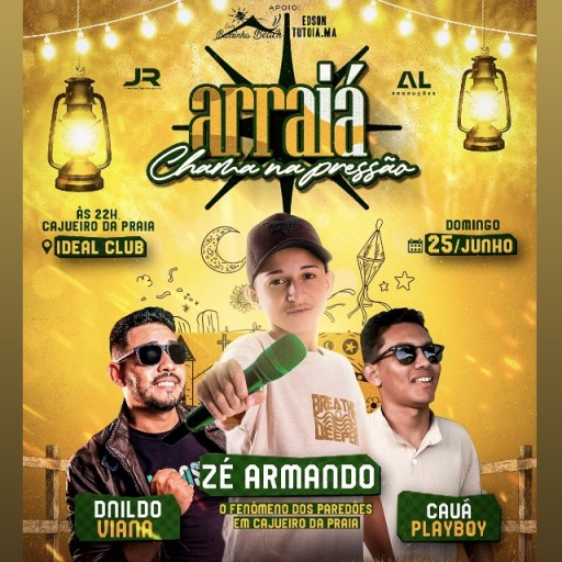 ARRAIÁ CHAMA NA PRESSÃO - Zé Armando