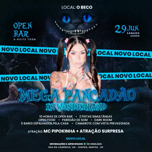 MEGA PANCADÃO IN WONDERLAND