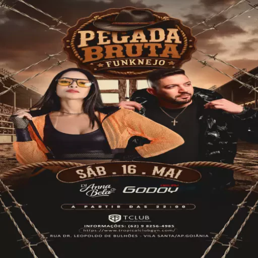 PEGADA BRUTA