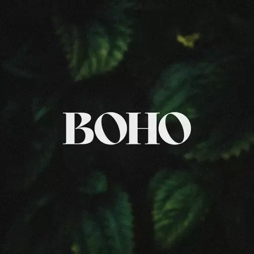 Foto do Evento festa BOHO