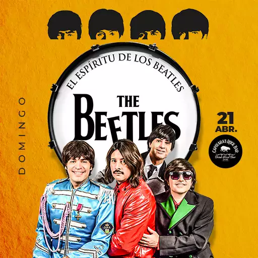 THE BEETLES ESPECIAL BEATLES